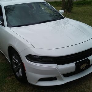 Meet your Posher, Phillip